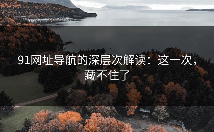 91网址导航的深层次解读：这一次，藏不住了